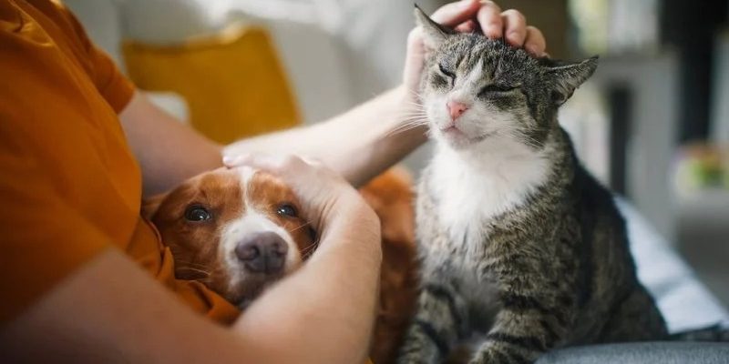 Imagem - Chalabala / istock
