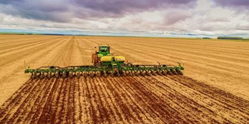 IBGE espera um aumento de 7% na produção em relação a este ano