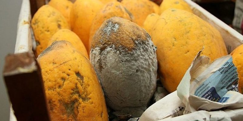 Investigação do Gaeco indica que empresa pagou propina a servidores para vencer contrato em Água Clara