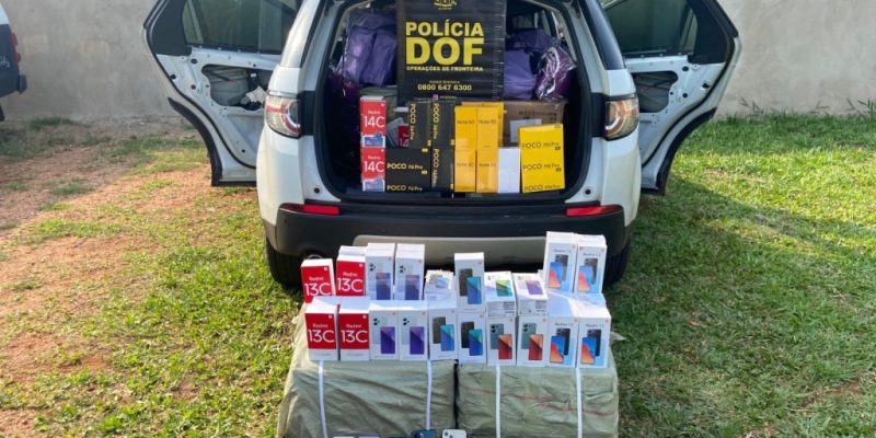 Mercadorias apreendidas pelo DOF (Foto: Divulgação/DOF)