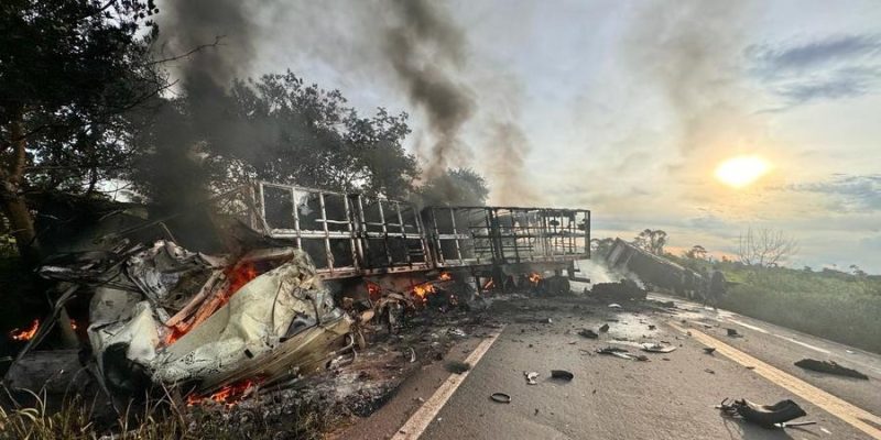 Imagens: José Almir Portela