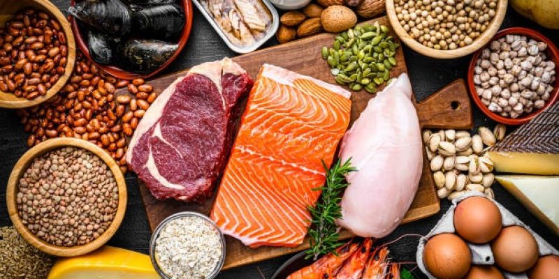 Fontes de proteína saudável-carne, peixe, produtos lácteos, nozes, leguminosas, e grãos