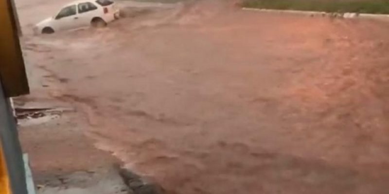 Imagens - Divulgação