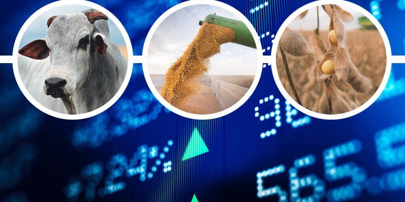Mercado aguarda agora pelo novo relatório de área nos EUA que o USDA traz na próxima segunda-feira