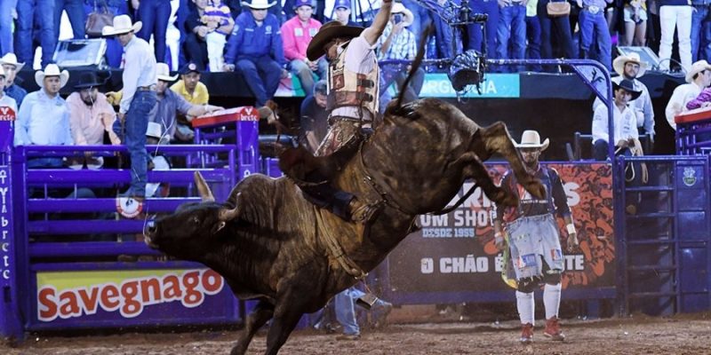 rodeo