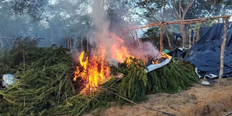 Ações ocorreram na Operação Terra Livre Fase IX