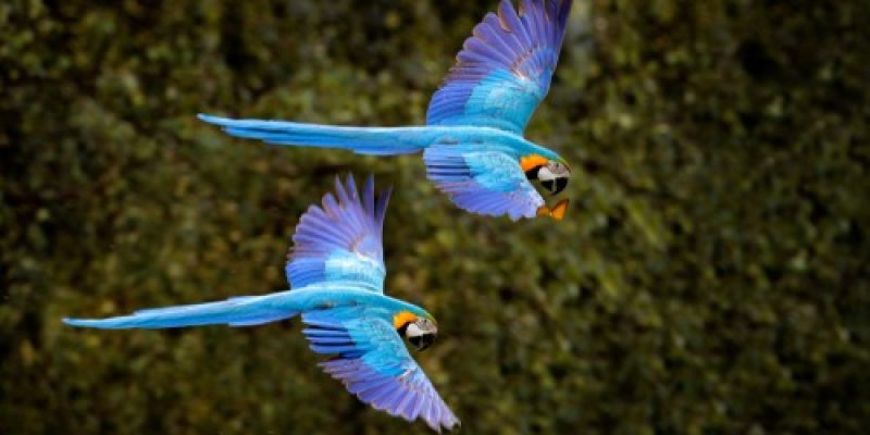 Nós estamos construindo uma história de êxito para o Pantanal e as pessoas que vivem naquela região