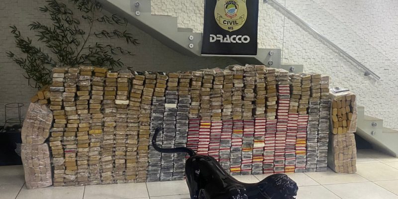Tabletes de cocaína e de maconha apreendidos em casa na Capital (Foto: Divulgação)