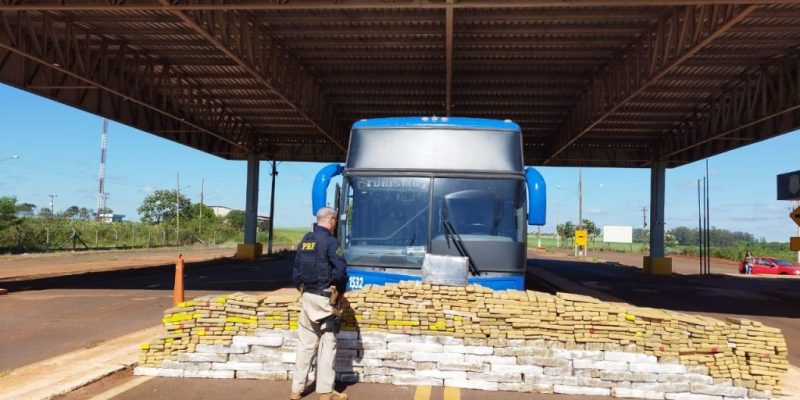 Tabletes de maconha retirados de ônibus do Paraguai (Foto: Divulgação)