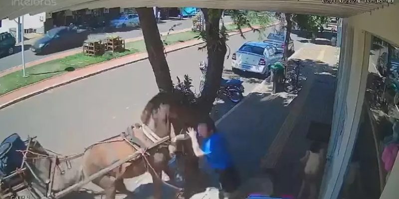 O vereador foi medicado, tomou vacina contra a raiva e segue em acompanhamento