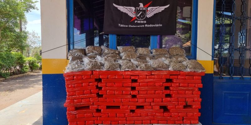 Droga apreendida em Ponta Porã (Foto: Assessoria)