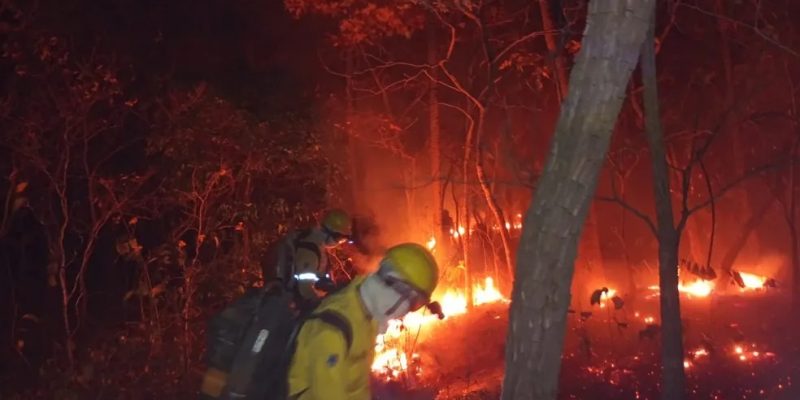 Bombeiros combatendo o fogo no Pantanal de MS — Foto: Corpo de Bombeiros/Divulgação