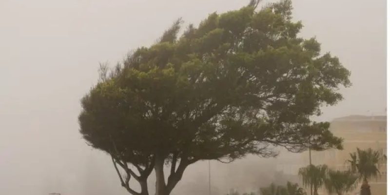 Além das rajadas de vento, clima quente e úmido podem provocar tempestades em várias partes do país