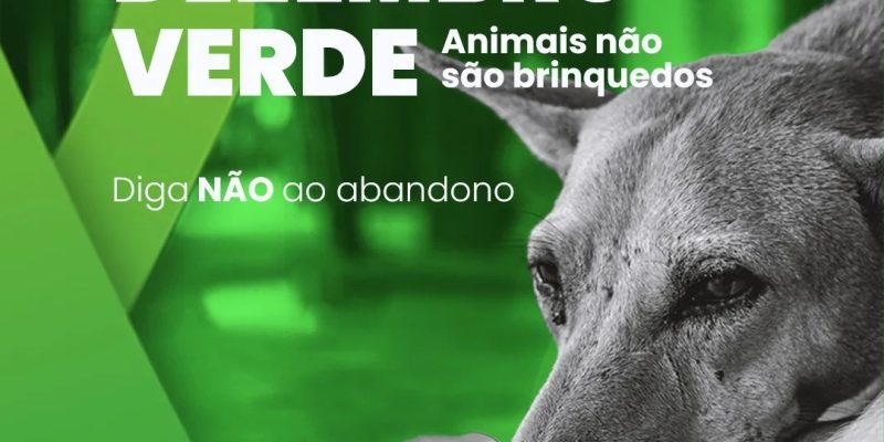 O evento contará com uma feira de adoção, onde diversos animais em busca de um lar estarão disponíveis