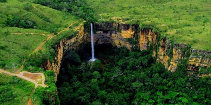Cerrado é a savana mais biodiversa do mundo e se originou há pelo menos 40 milhões de anos