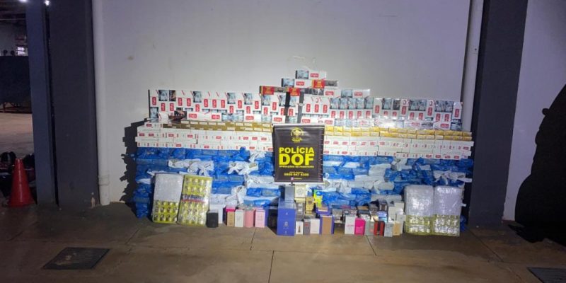 Produtos apreendidos pela polícia (Foto: DOF/Assessoria)